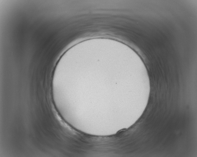 X0000081371534200702082333