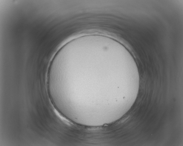 X0000081371535200702082333