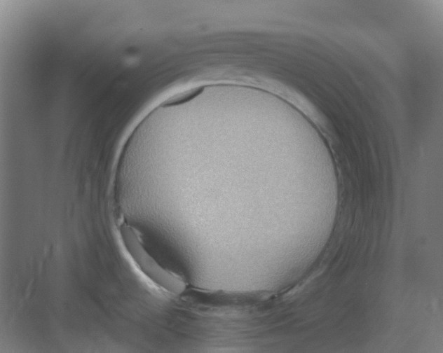 X0000081371536200702082333