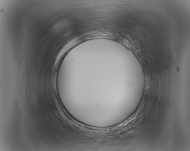 X0000081380004200701111144