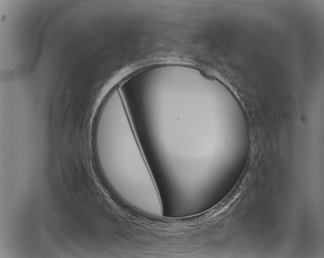 X0000081380008200701111144