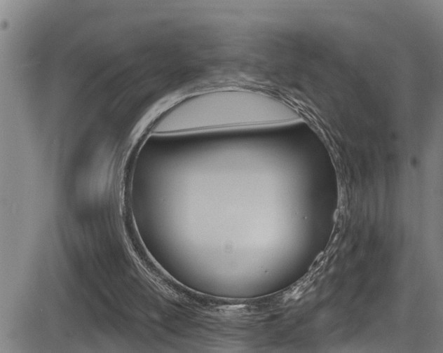 X0000081380054200701111143