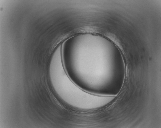 X0000081380109200701111142