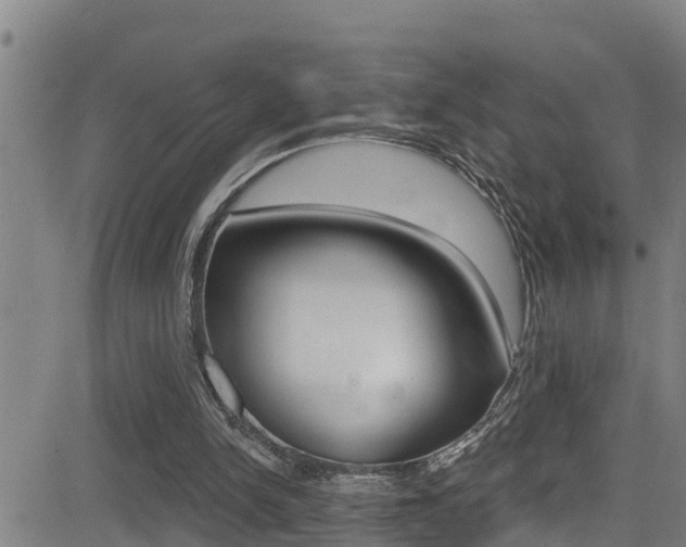 X0000081380150200701111141