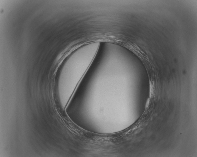 X0000081380291200701111139