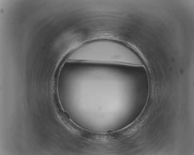 X0000081380439200701111136