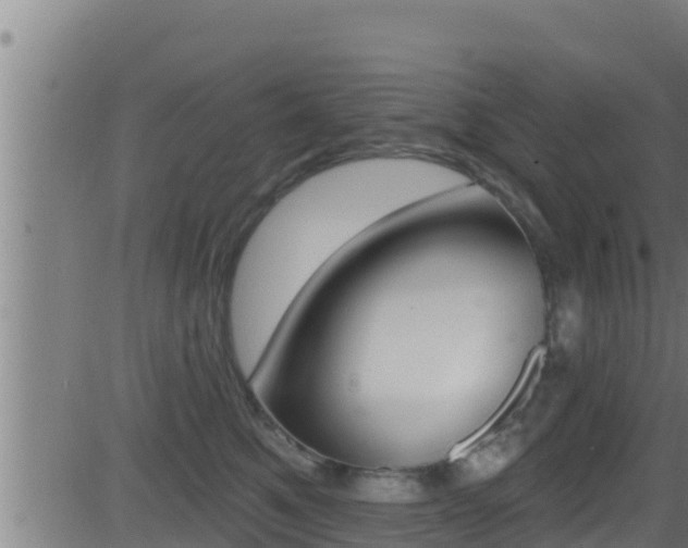 X0000081380521200701111135