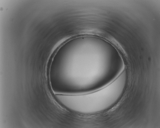 X0000081380884200701111129