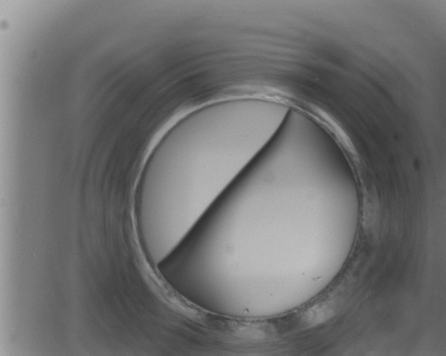 X0000081380899200701111129
