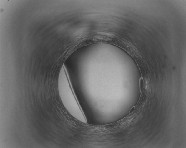 X0000081380915200701111128
