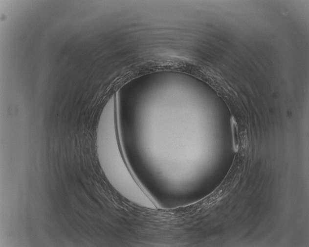 X0000081380916200701111128