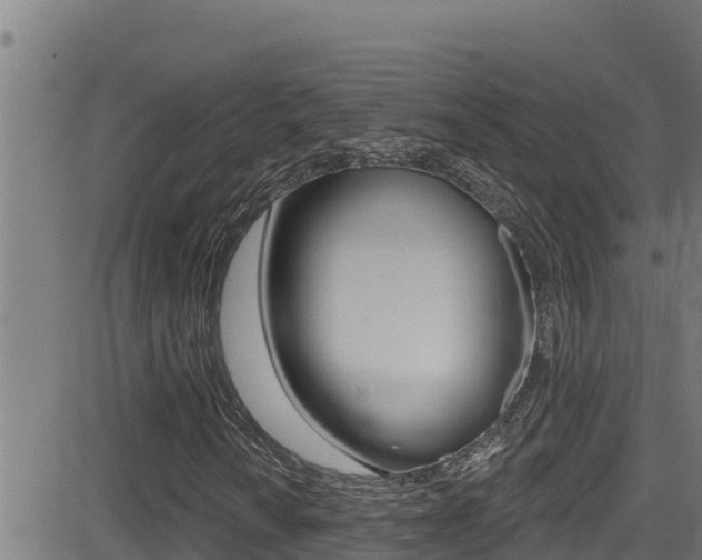X0000081381010200701111127