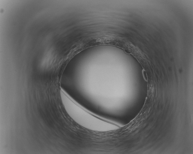 X0000081381012200701111127