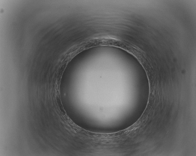 X0000081381014200701111127