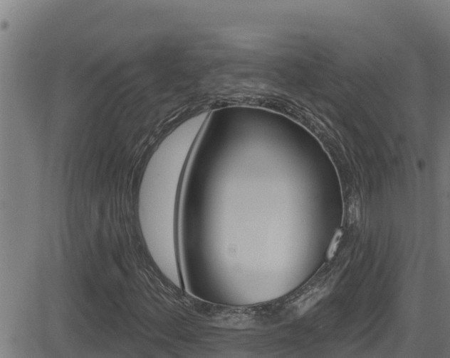 X0000081381156200701111125