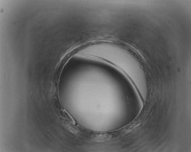 X0000081381160200701111125