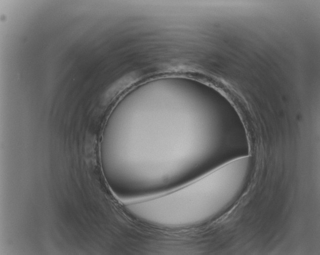 X0000081381265200701111123