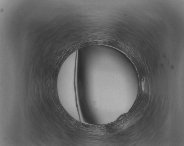 X0000081381347200701111122