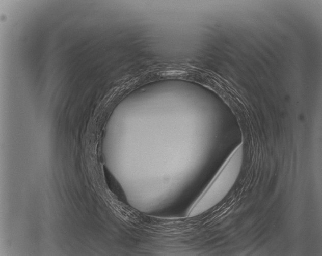 X0000081381441200701111120