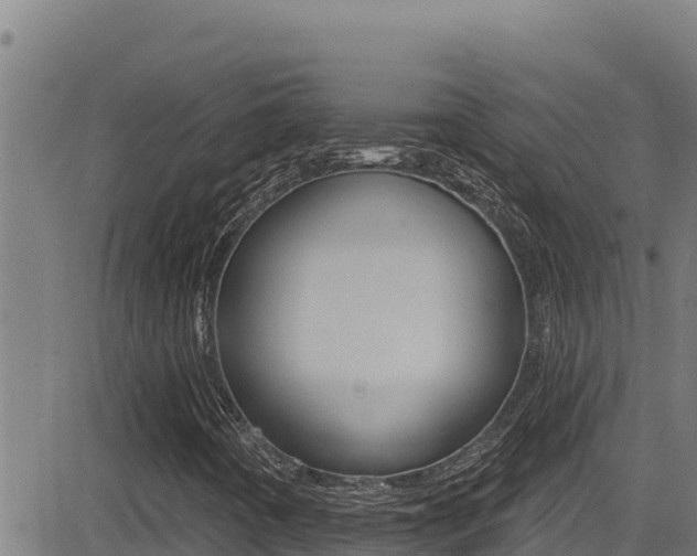 X0000081381442200701111120