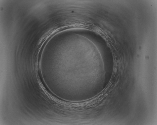 X0000081380002200701111504