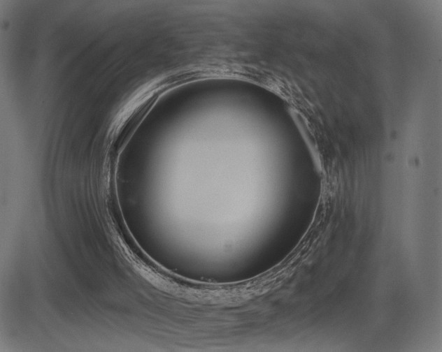 X0000081380005200701111504