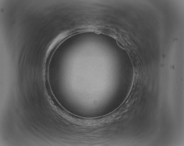 X0000081380006200701111504