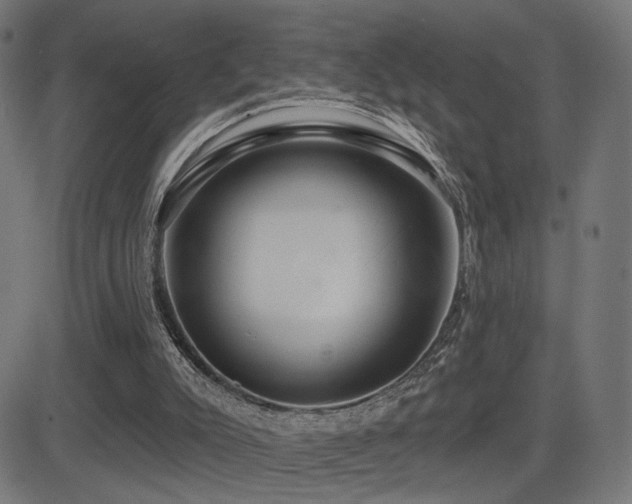 X0000081380007200701111504