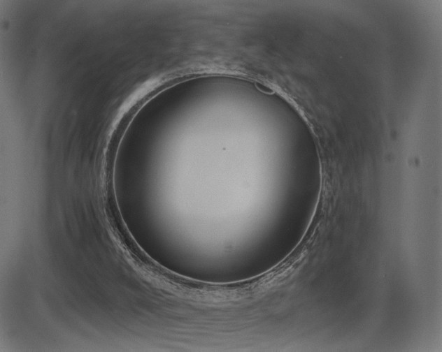 X0000081380008200701111504