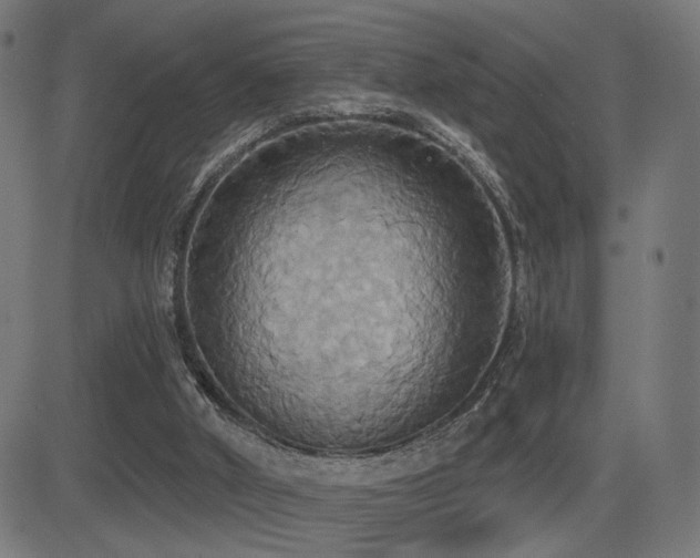 X0000081380010200701111504