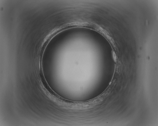 X0000081380011200701111504