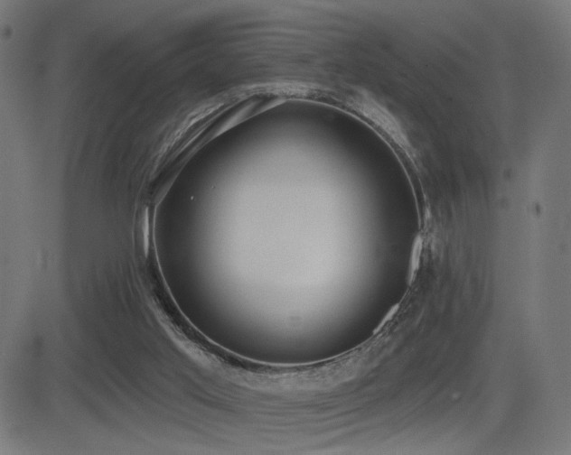 X0000081380013200701111504