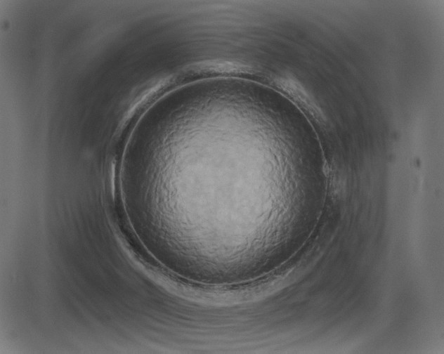X0000081380014200701111504