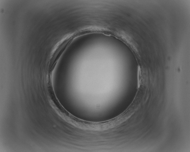 X0000081380015200701111504