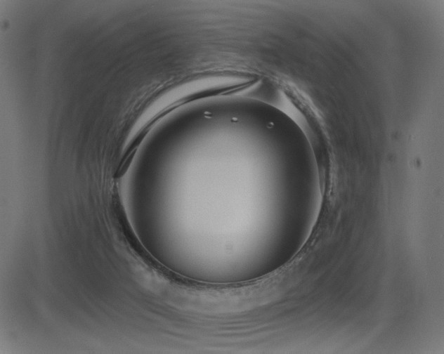X0000081380017200701111504