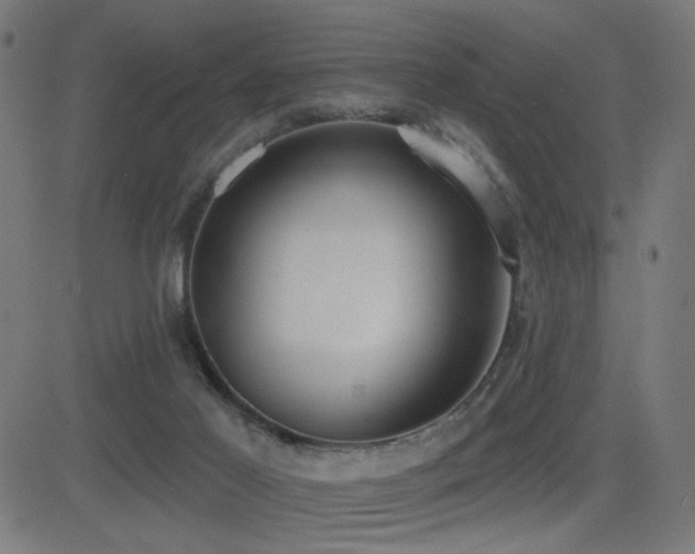 X0000081380021200701111504