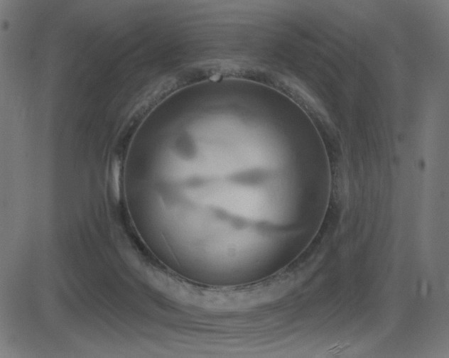 X0000081380022200701111504