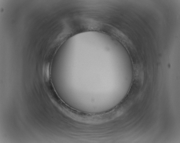 X0000081380028200701111503