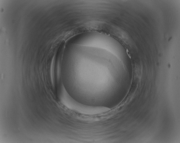 X0000081380029200701111503
