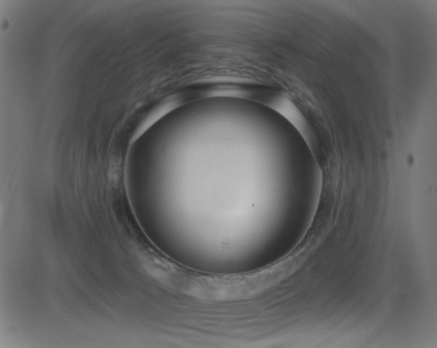 X0000081380033200701111503