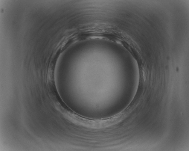 X0000081380035200701111503