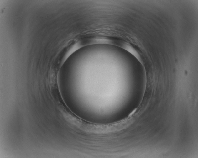 X0000081380037200701111503