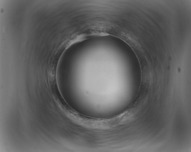 X0000081380040200701111503