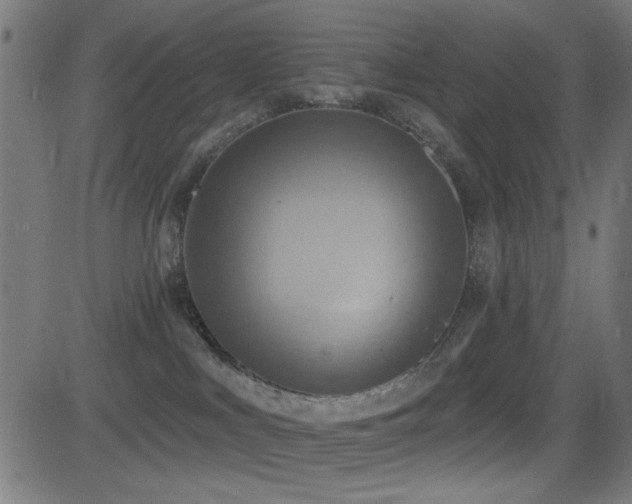 X0000081380043200701111503