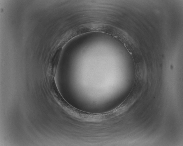 X0000081380044200701111503