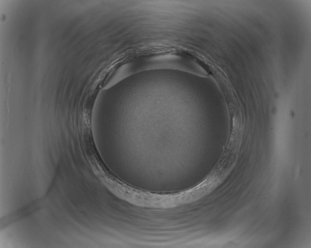 X0000081380048200701111503