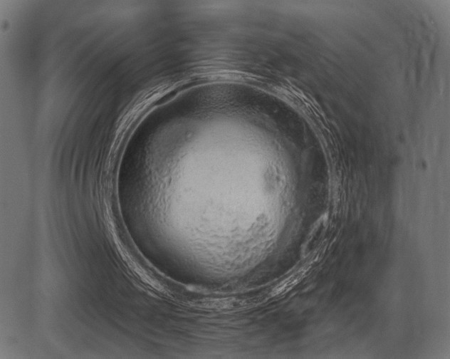 X0000081380049200701111502