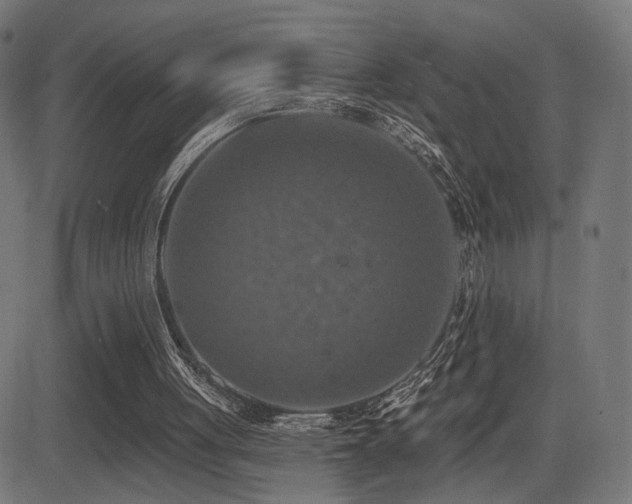 X0000081380051200701111502
