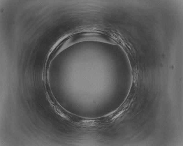 X0000081380052200701111502