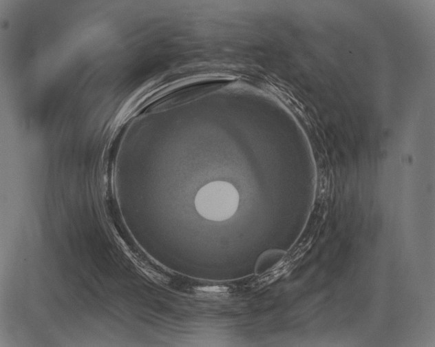 X0000081380053200701111502